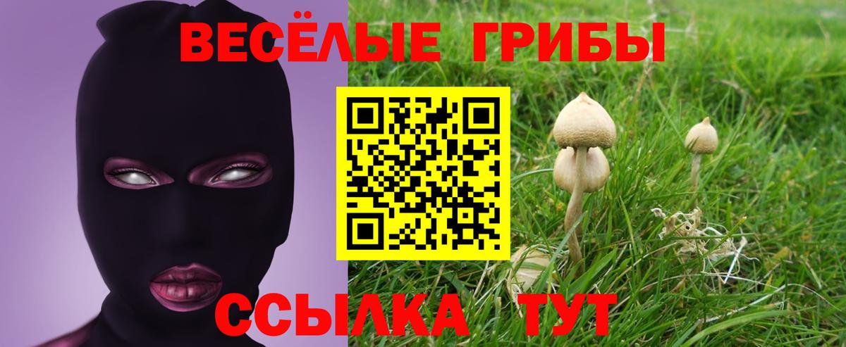 Галлюциногенные грибы прущие грибы Гулькевичи